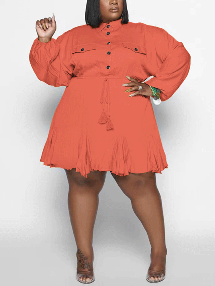 Turndown Collar Button Mini Dress Rose / XL