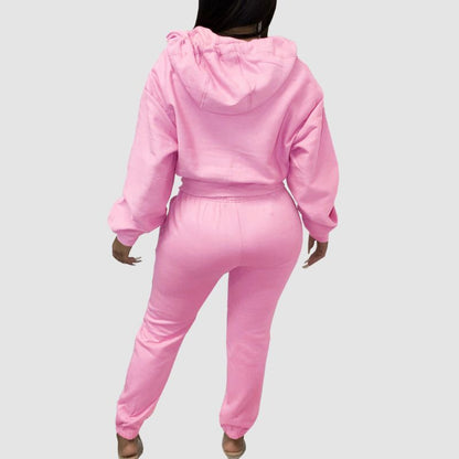 Solid Color Zip Hoodies Pant Set Pink / M